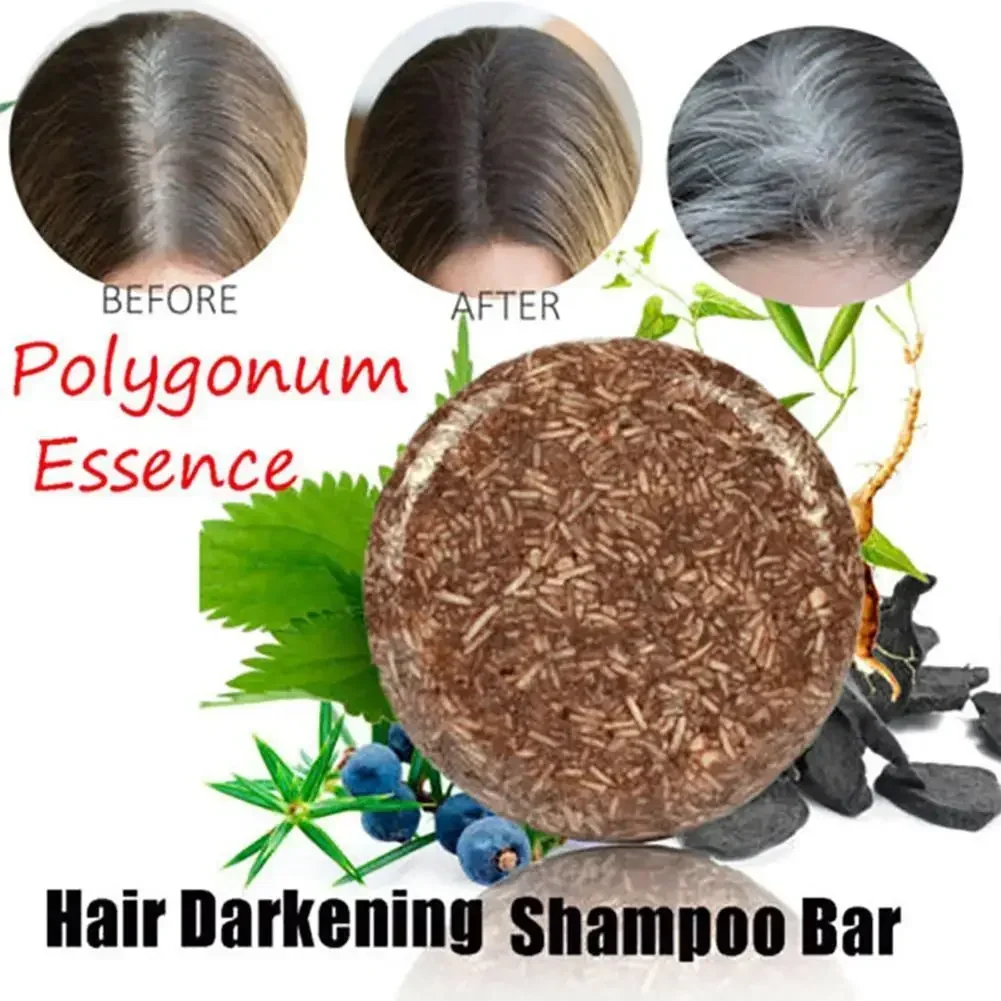Hair Care Organic - 10G naturel organique Polygonum Essence cheveux