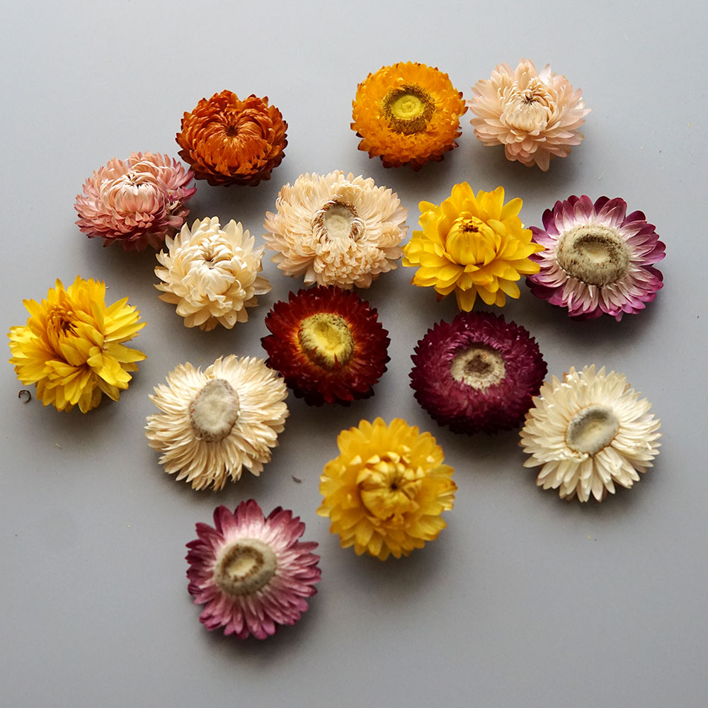 Couronne de chrysanthème color - Hair Care Nature avis et prix