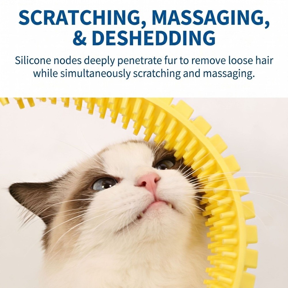 Tunnel pour chat en plastique, - House Hair Care avis et prix