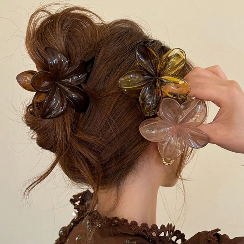 Pinces à cheveux légères en pl - Hair Clip Claw Large avis et prix