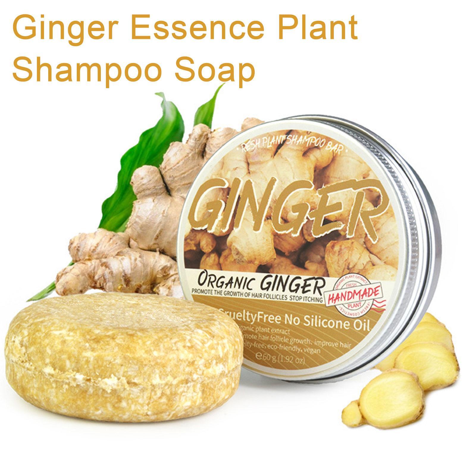 VideoPolygonum-Shampooing pour - Hair Care Organic avis et prix
